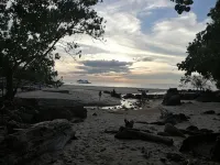 Permai Rainforest Resort - pantai