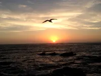 ลิตเติล เซอร์ อินน์