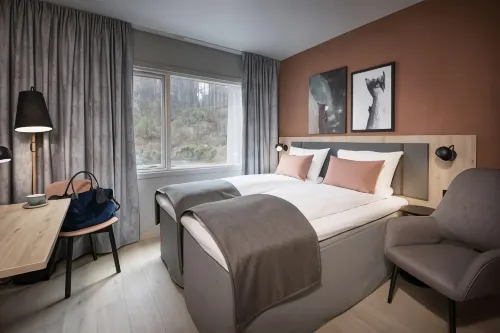 スカンディック コクスタッド