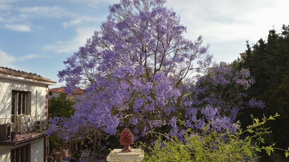 B&B Garden Grazia