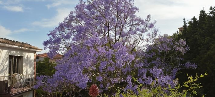 B&B Garden Grazia Отели в г. Ното