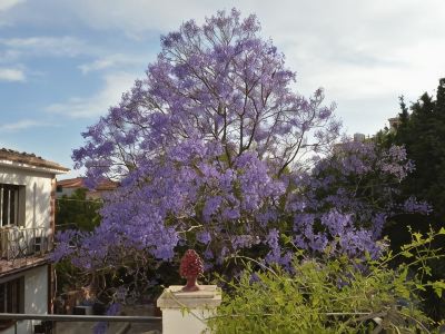 B&B Garden Grazia