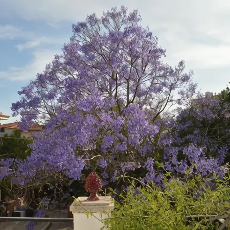 B&B Garden Grazia