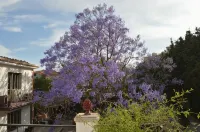 B&B Garden Grazia Hotel in zona Via Camillo Benso Conte di Cavour