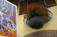 Macallè Hotel a Oleggio