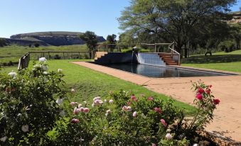 Pumula Guest Farm