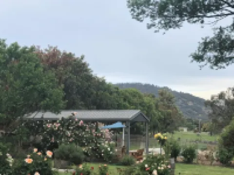 Valley View Motel Hotels in Scone