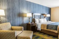 Comfort Inn & Suites Các khách sạn ở Wallingford