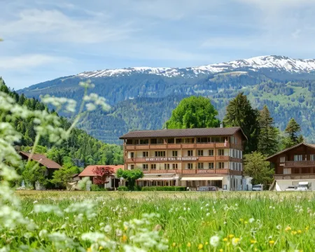 Jungfrau Hotel Hotels in Wilderswil
