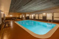 La Quinta Inn & Suites by Wyndham Lexington South / Hamburg - Ramah Hewan Peliharaan