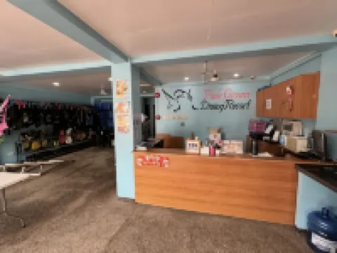 Pink Ocean Diving Resort Sabang Puerto Galera Hotels in Puerto Galera