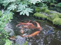 Koensou 사노 호텔