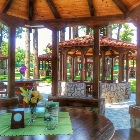 Hotel Drim