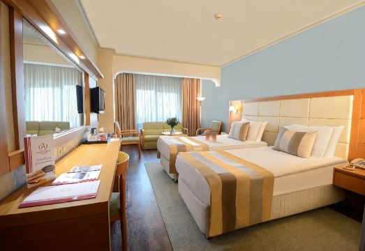 Akgun Istanbul Hotel Hotel Overview