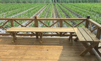 Xianel Vacation Chateau