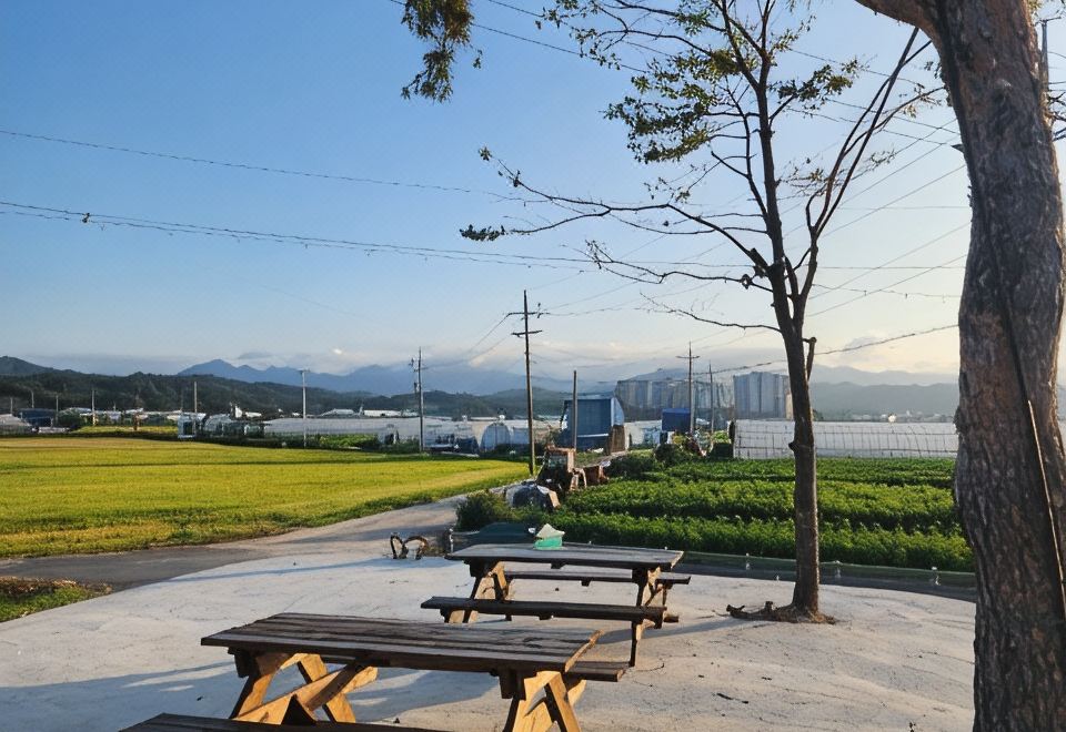 동호펜션 야경