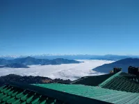 Muscatel Nirvana @Mall Road