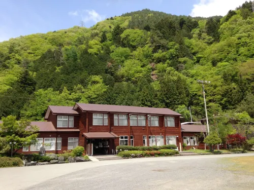 Healthy Misato - Pet Friendly
