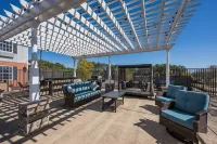 SureStay Hotel by Best Western Tuscaloosa Southeast - 駐車場