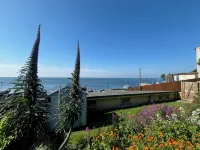 Best location in Ventnor, stunning sea views - Ocean View