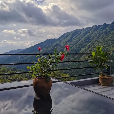 Daming Mountain Stream · Mountain View Leisure Resort Villa Meisu