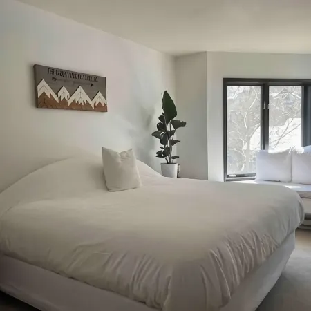 Telluride Viking Condo with River and Mountain Views!
