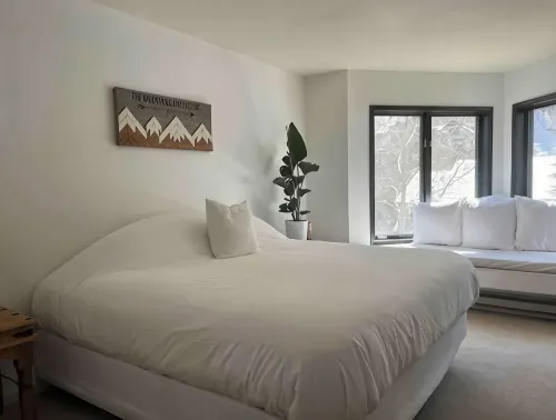 Telluride Viking Condo with River and Mountain Views! - Bergblick