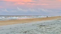 Beach Escape Wth Hot Tub - Walk to Ocean - Dog Friendly - Beach