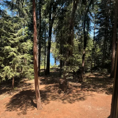 Sierra Cabin Retreat • Lake View • Hiking Trails