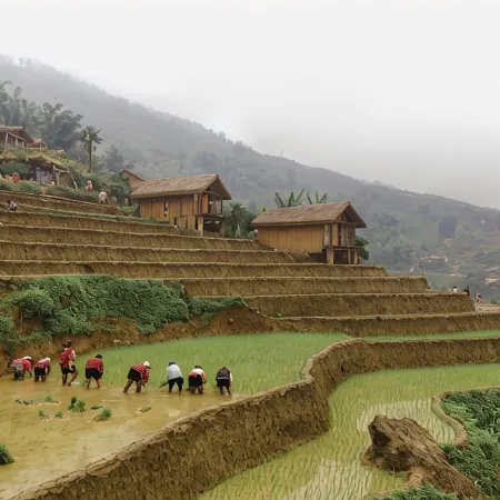 Eco Palms House - Sapa Retreat