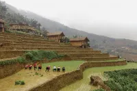 Eco Palms House - Sapa Retreat