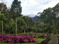 Spring Garden Kundasang