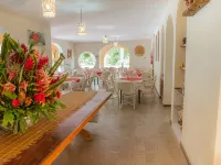 Eco Pousada Paraíso Dos Coqueirais Hotels in Japaratinga