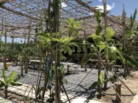 Bau Bi Mini Farmstay Mekong - Tien Giang Hotels in 