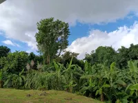 Villa  Bon Air Surrounded by Nature and Close to the Sea. - Homestays