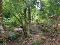 Treehouse in the Canopy close to beach - large garden with trails - Pavones wave Hotels in Pavones
