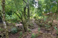 Treehouse in the Canopy close to beach - large garden with trails - Pavones wave - Wifi