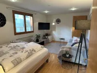Central but quietly located, lovely and well furnished flat in Balzers. Hôtels à : 