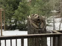 Mountain cabin with fireplace. Minutes away from Shaver Lake and China Peak. - 샬레 호텔