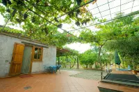 Cosy cottage surrounded by nature, 100 meters from the sandy beach - Bungalows