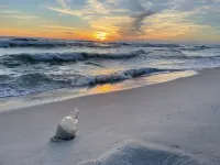 In the Heart of Apalachicola~Walk Everywhere!~Vintage Rose Suite~Majestic Jewel - Homestays