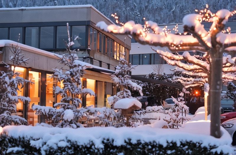 Hotel Sommerau