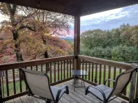 Remote cabin with gorgeous view and sunsets, pets free, fast Wi-Fi! - Chalets