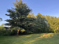 A-framed Adirondack cottage near Great Sacandaga Lake フルトンのホテル