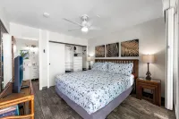 Direct Oceanfront Condo with AC, Amazing Sunsets, Tide Pools, Turtles & Surfers