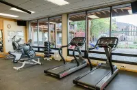 Lutsen Ski-In/Ski-Out Townhome w/Pool and Hot Tub Access!