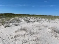 Coastal Charm Meets Cozy Comfort - 1BR Beachside Beauty!