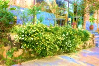 Van Ho Ecolodge - Homestays
