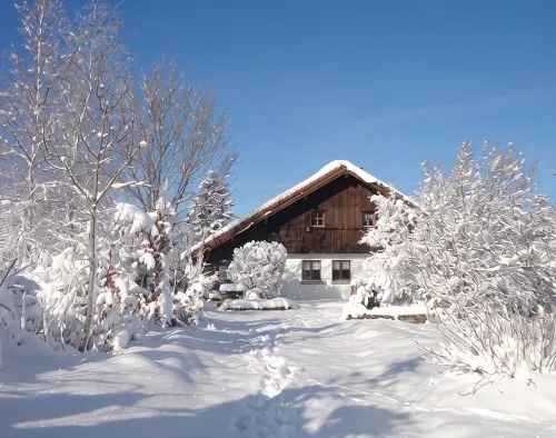 Charming 3-star gîte in the heart of nature, free Wi-Fi - Chalets