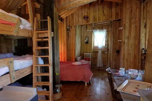 Cabane Dans les Arbres - Tree House - Pools